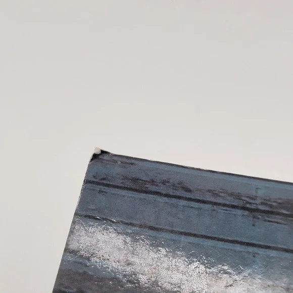 Raymond St John American Literature Paperback Second Edition BJU Press Good - Picture 10 of 11